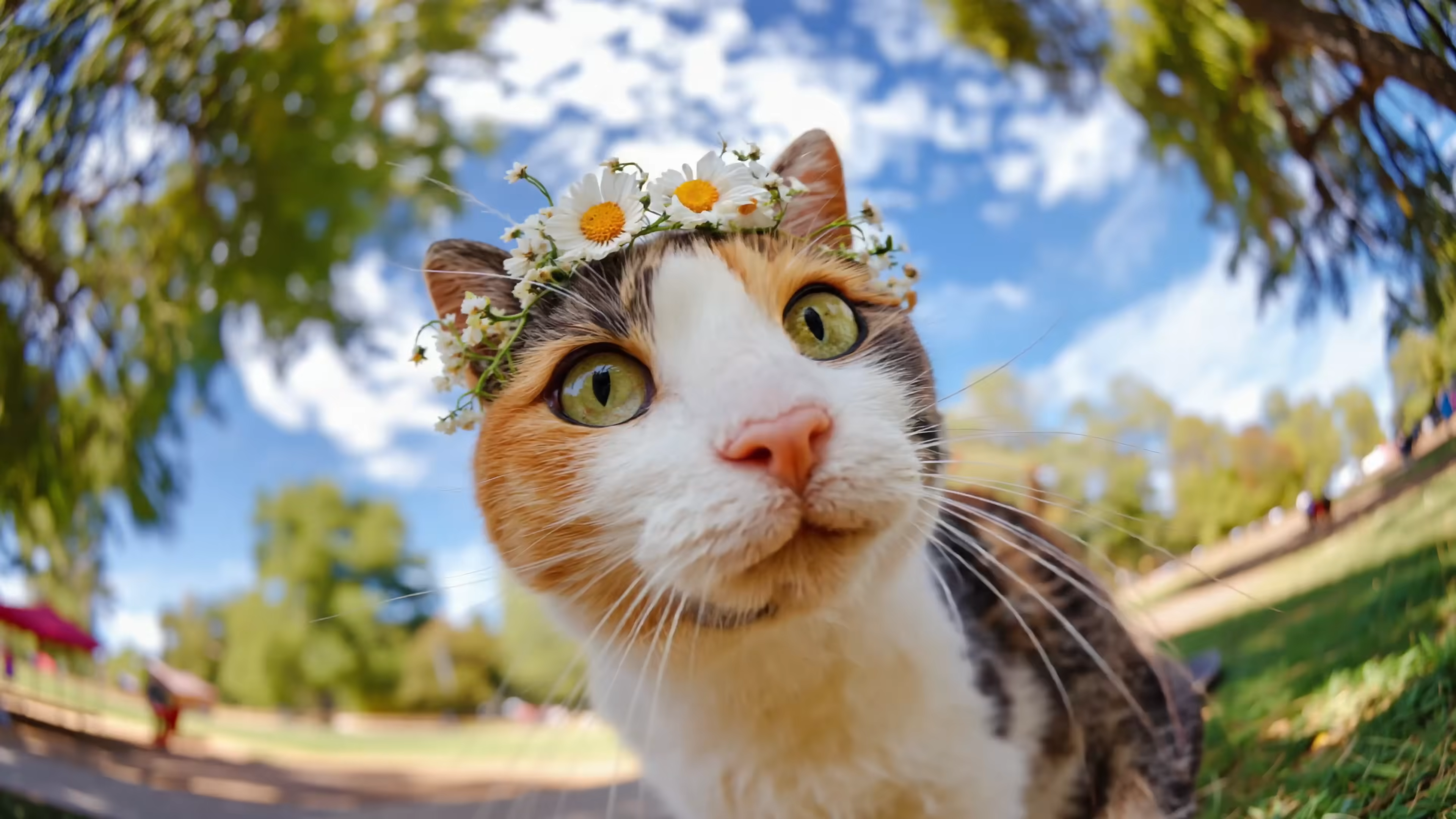 LTX-2.3 Rebuilt Latent Space