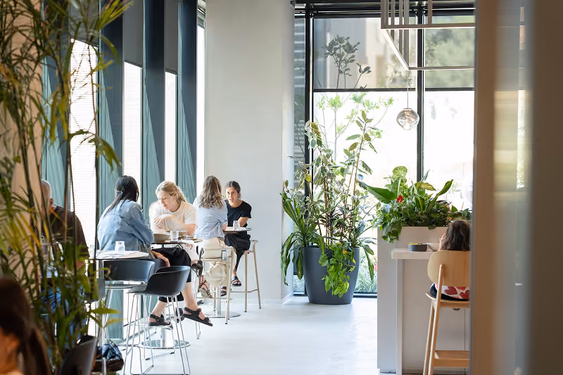 People sitting at tables and chatting in a bright indoor café with large windows and potted plants.