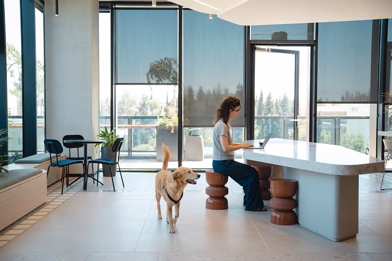 Woman sitting at modern table working on laptop with a golden retriever walking nearby in bright room.