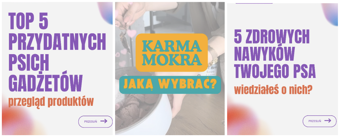 Kreacje edukacyjne Meta Ads dla sklepu zoologicznego