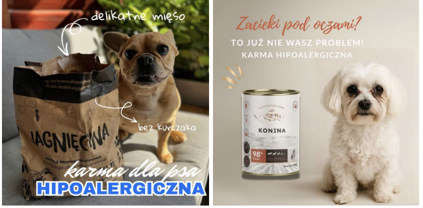 Reklamy karmy hipoalergicznej dla psów w Meta Ads