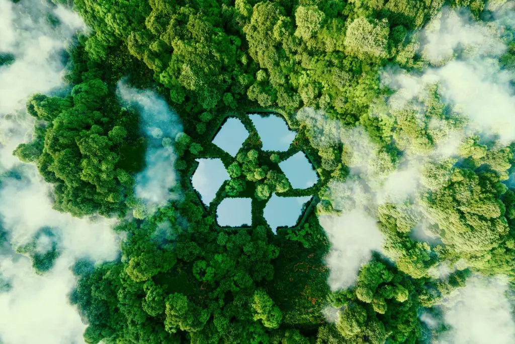 A forest with a recycling logo in the centre