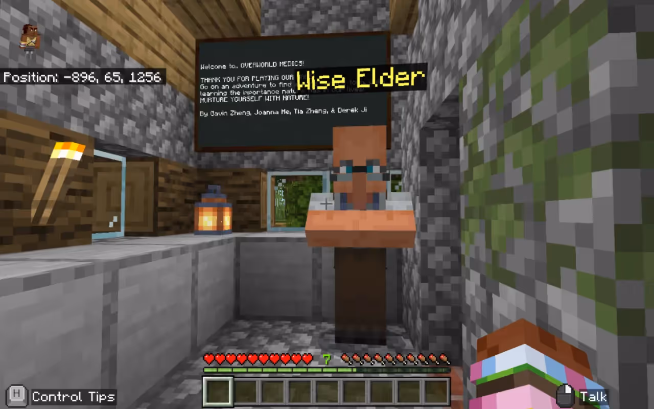 OverWorld Medic game.