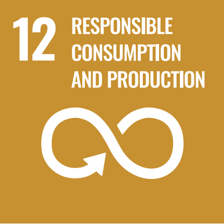 UN Sustainable Development Goal 12: Responsible Consumption and Production
