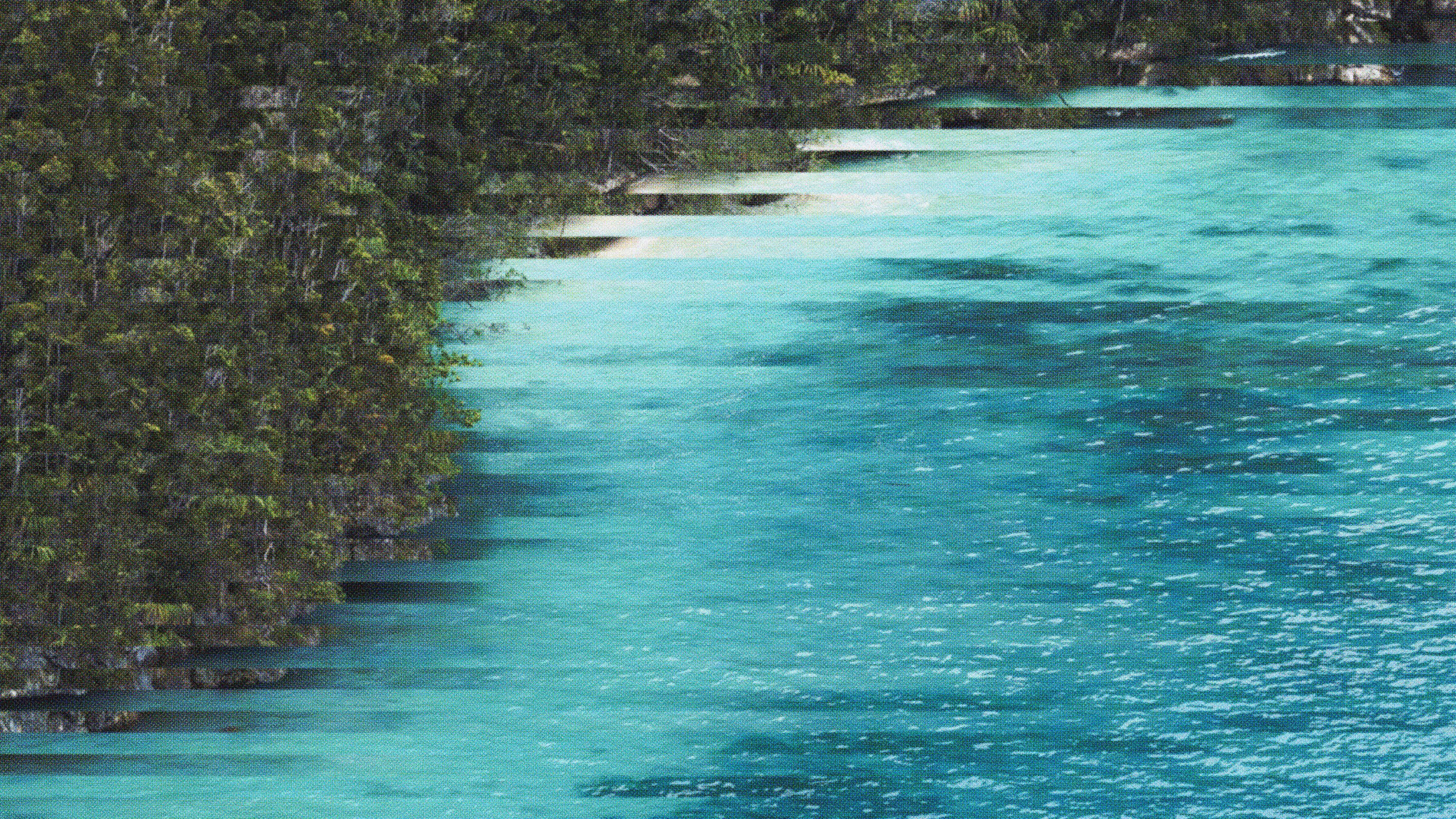 All in for Nature: Reefs & Rainforests.