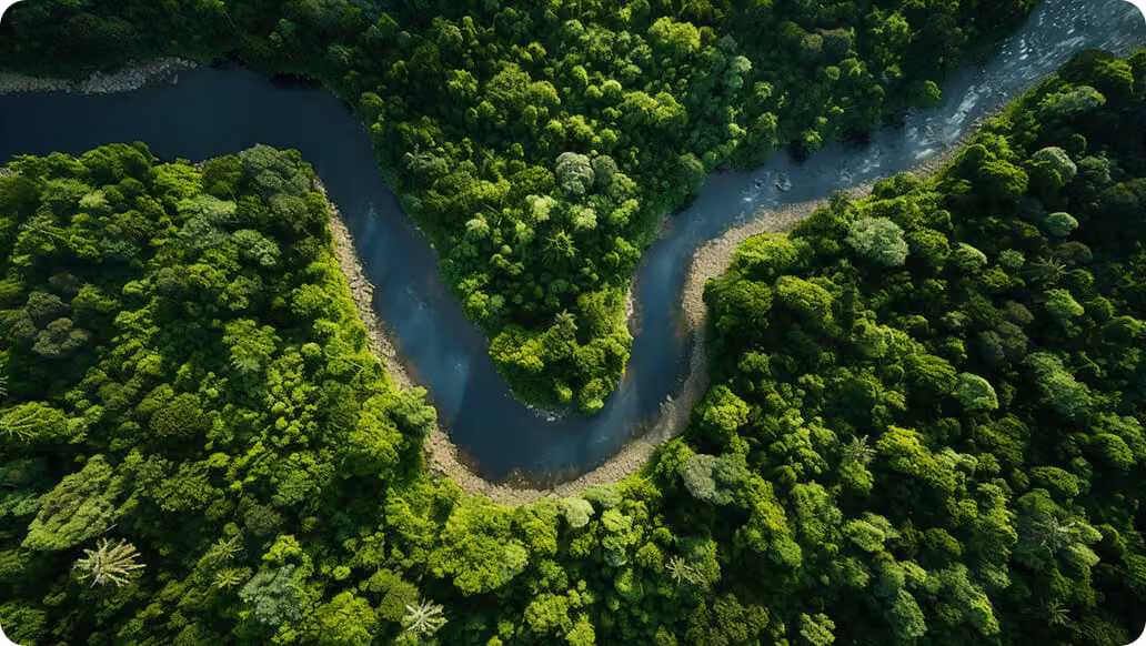 Aerial view of a winding river surrounded by dense green forest.