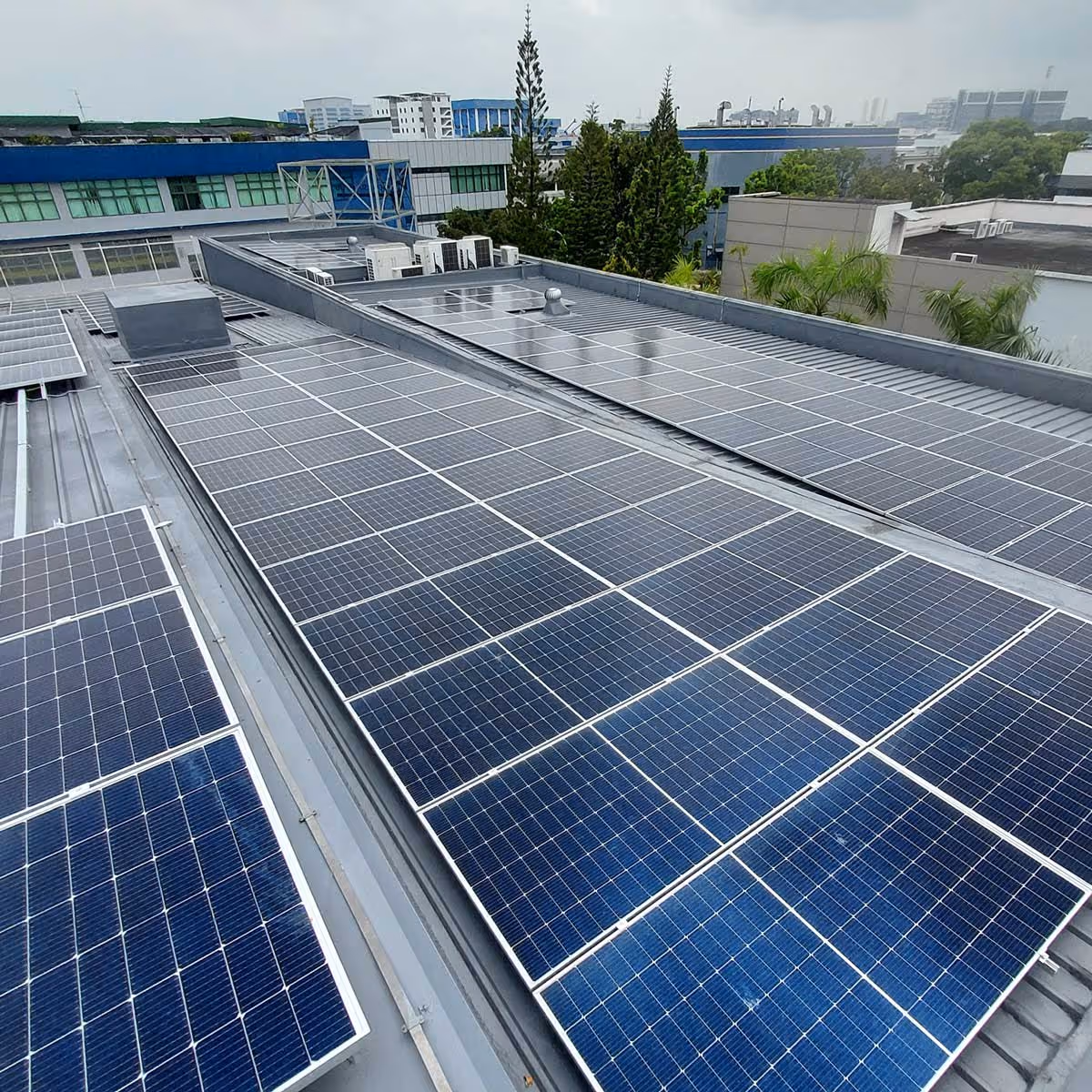 Peak Energy Asia Rooftop Solar Installation