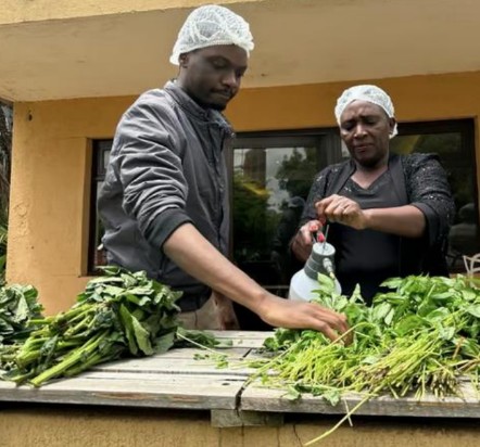 Agri workers using organic spray on harvest - KaFresh