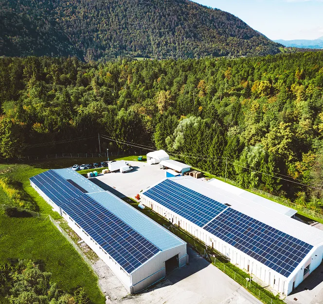 Hale z panelami fotowoltaicznymi