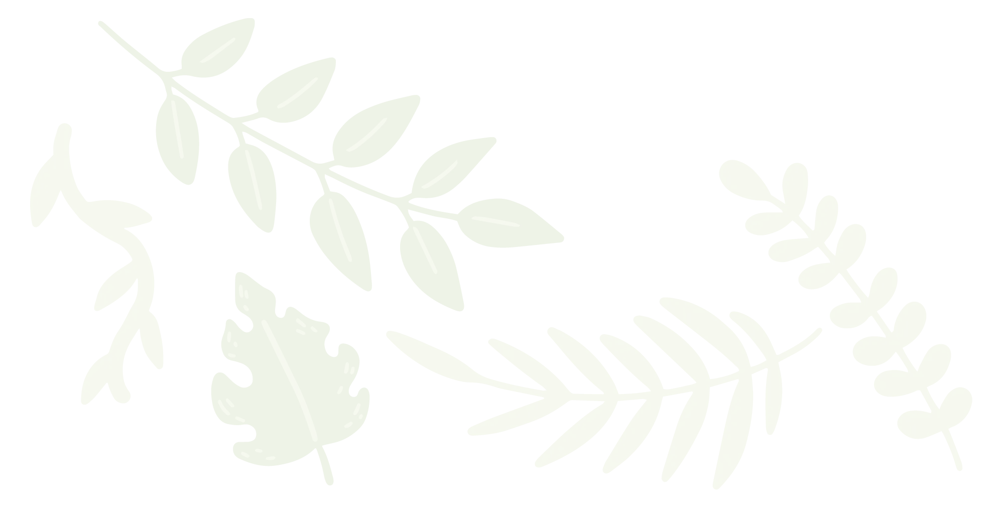 Botanical illustration of various green leaves and branches for a nursery website design.