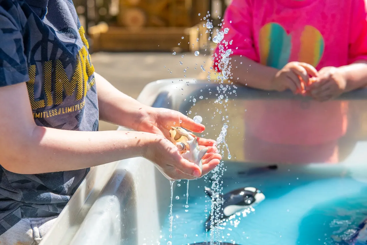 Child plays with water and sea animal toys at nursery school.