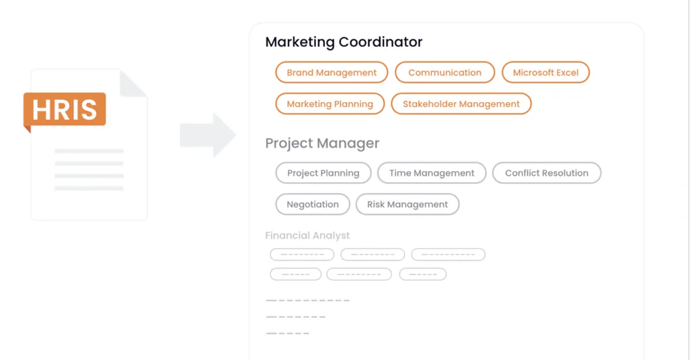 HRIS document icon with an arrow pointing to a categorized skills-based strategy display, showing highlighted skills under roles like Marketing Coordinator and Project Manager in an Oro platform screenshot. Skills such as “Brand Management,” “Microsoft Excel,” and “Risk Management” are grouped by job title.