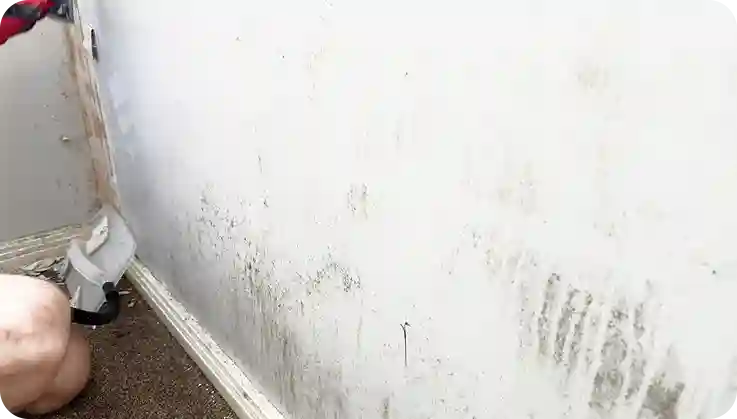 Mechanical Removal