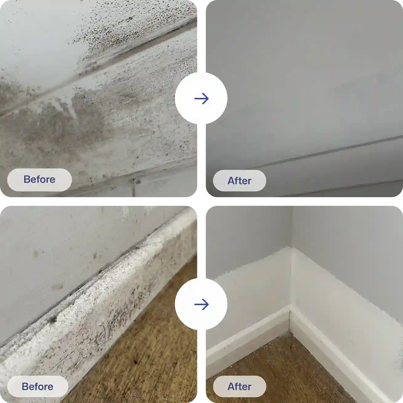 Causes of mold