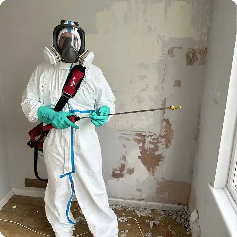 Specialist in full protective suit spraying hydrogen peroxide for mould removal from wall