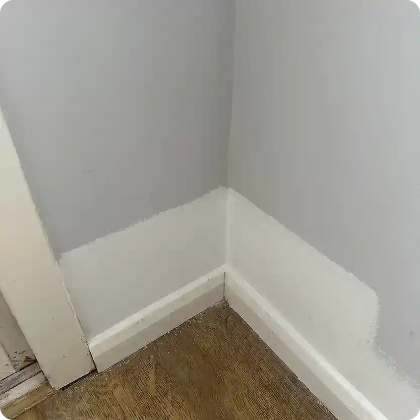 Mould removal result: cleaned corner of the room with treated wall