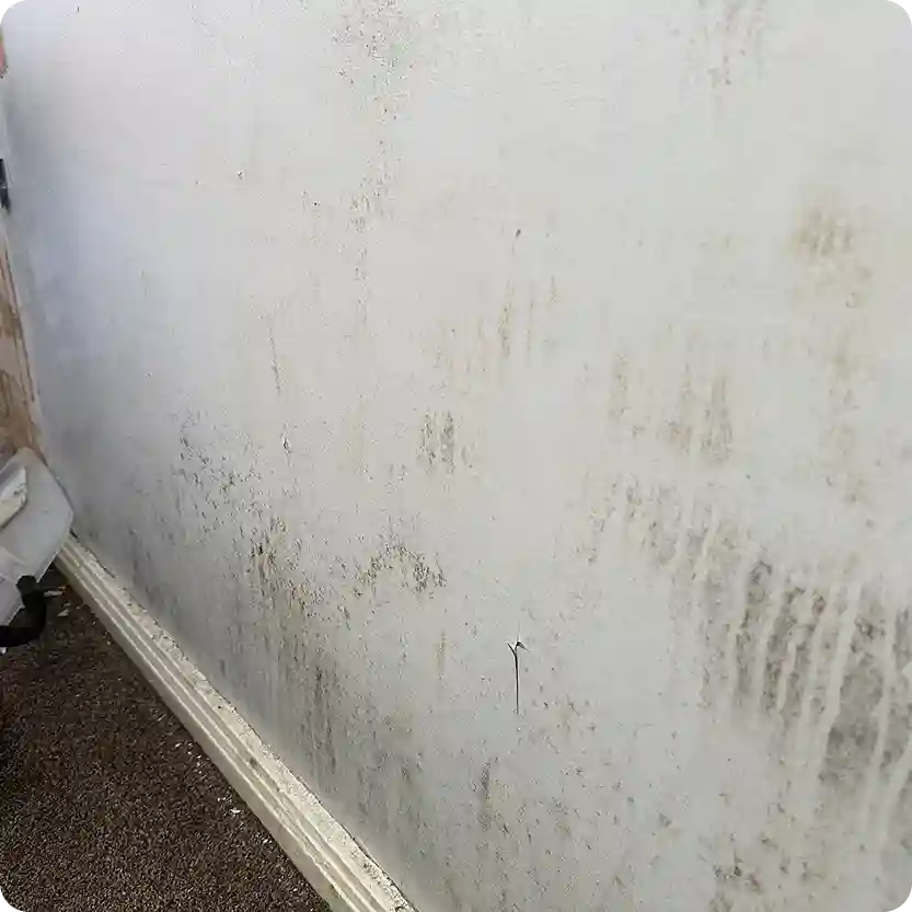 Wall covered with visible black mould and moisture stains before professional treatment