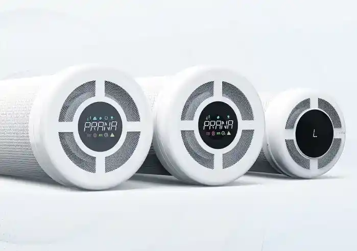 Mould-Resistant Paint