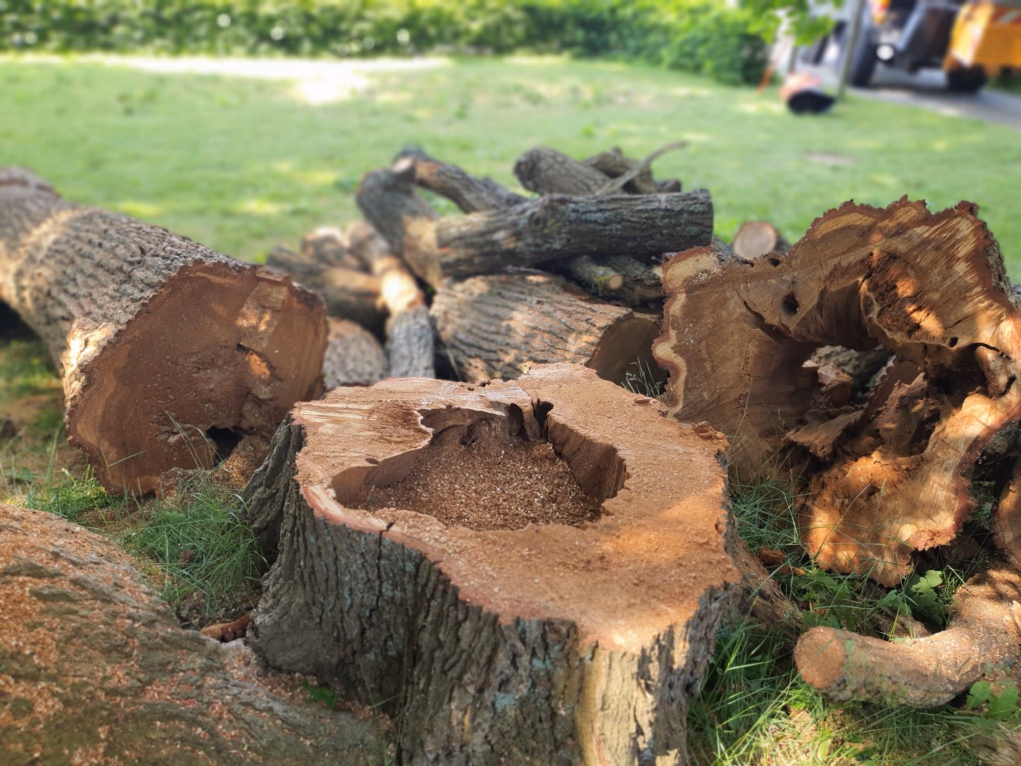 [digital project] a graphic design (for a ai legal tech company)