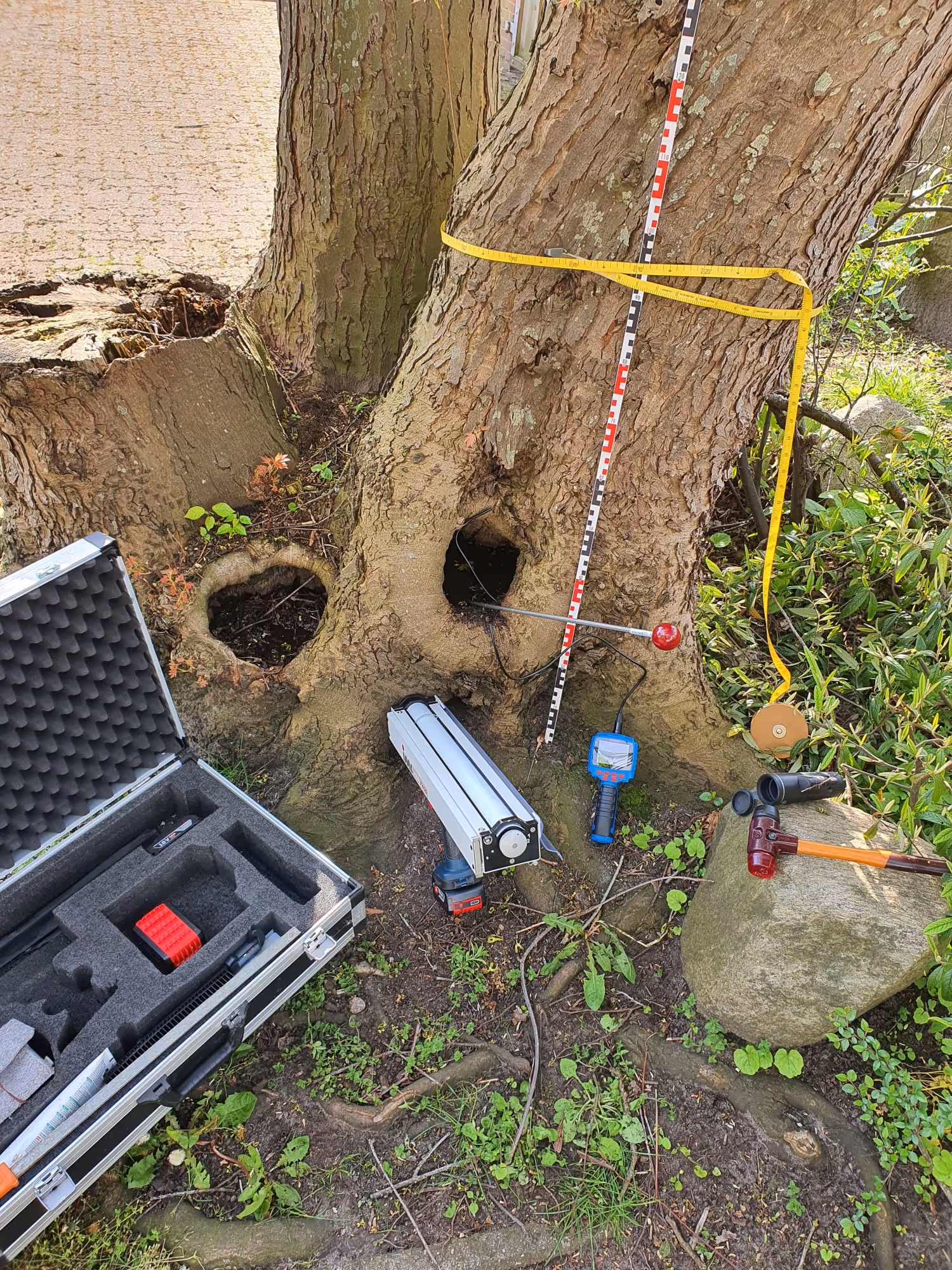 restoring damaged landscapes