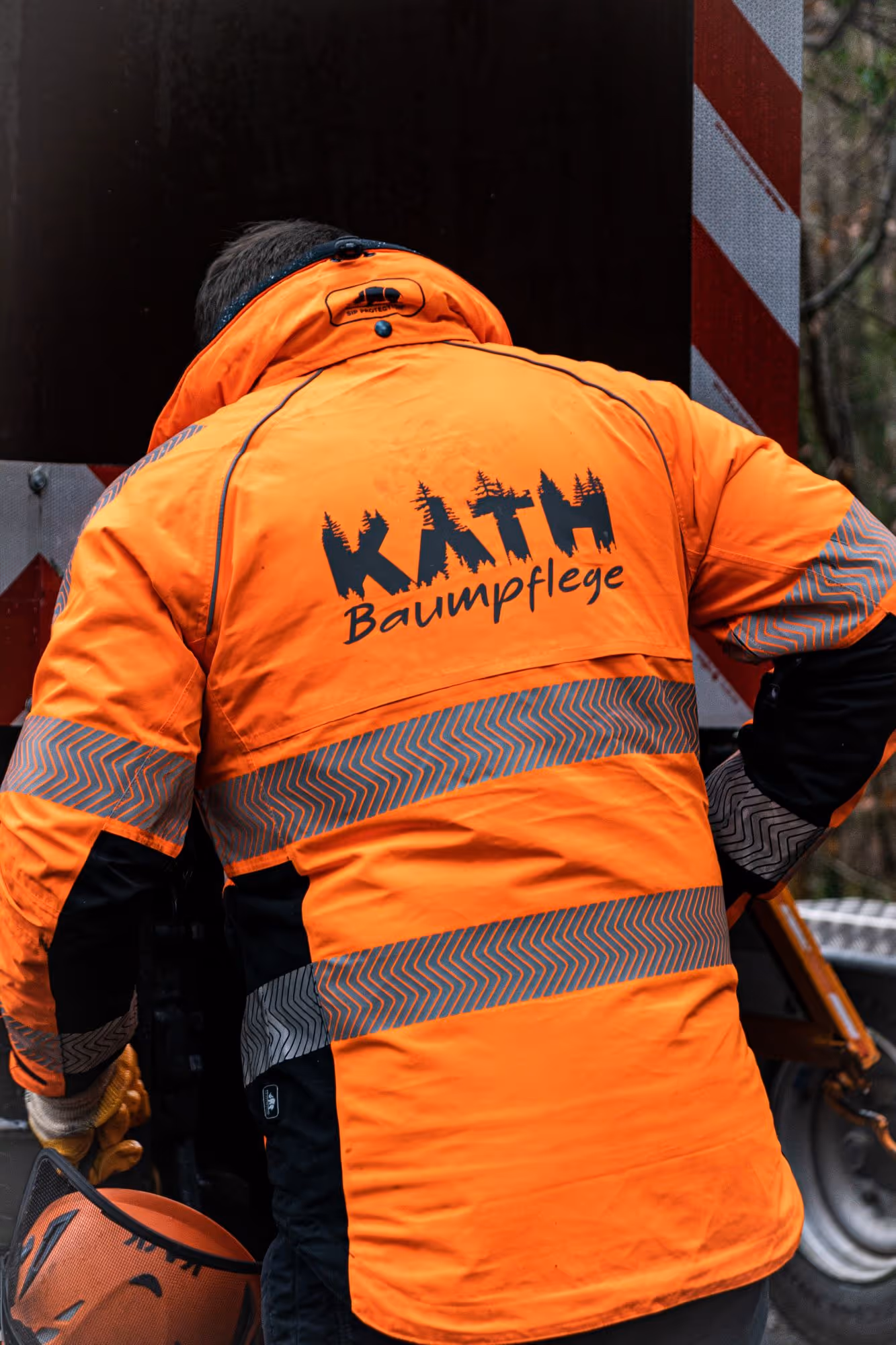 image of reforestation project