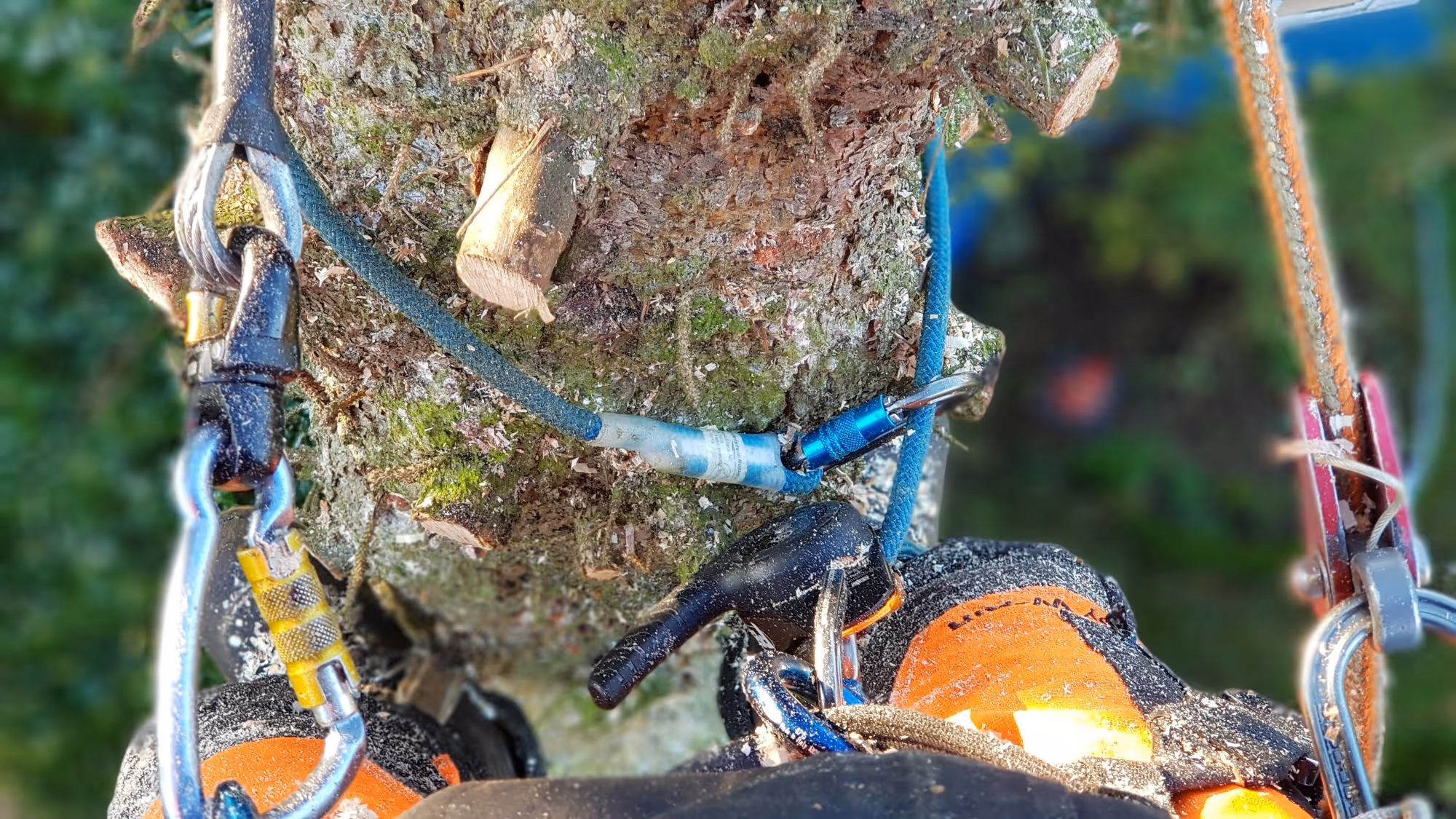 image of a school campus (for a edtech)