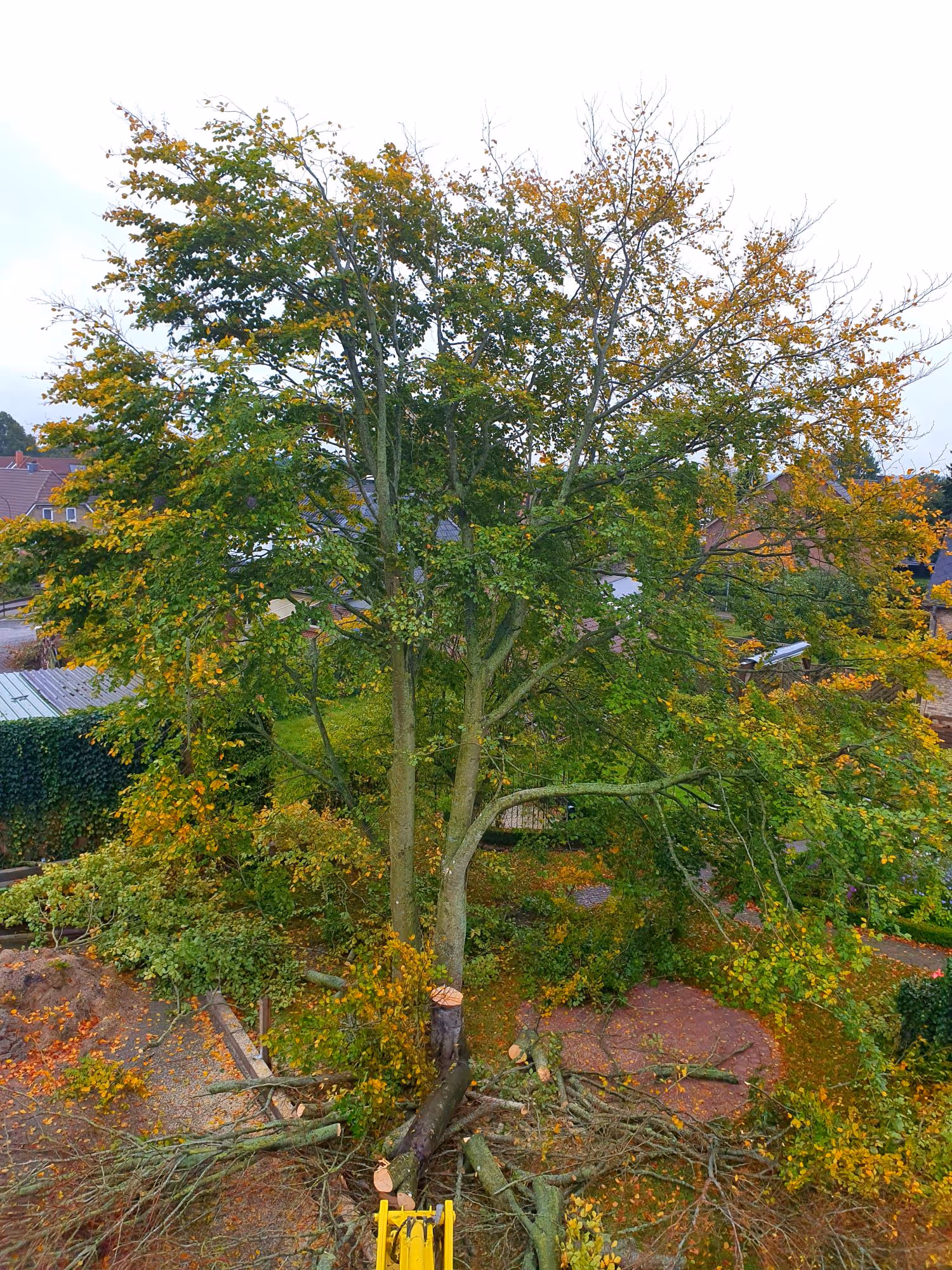 [background image] image of desk with a laptop (for a trucking company)