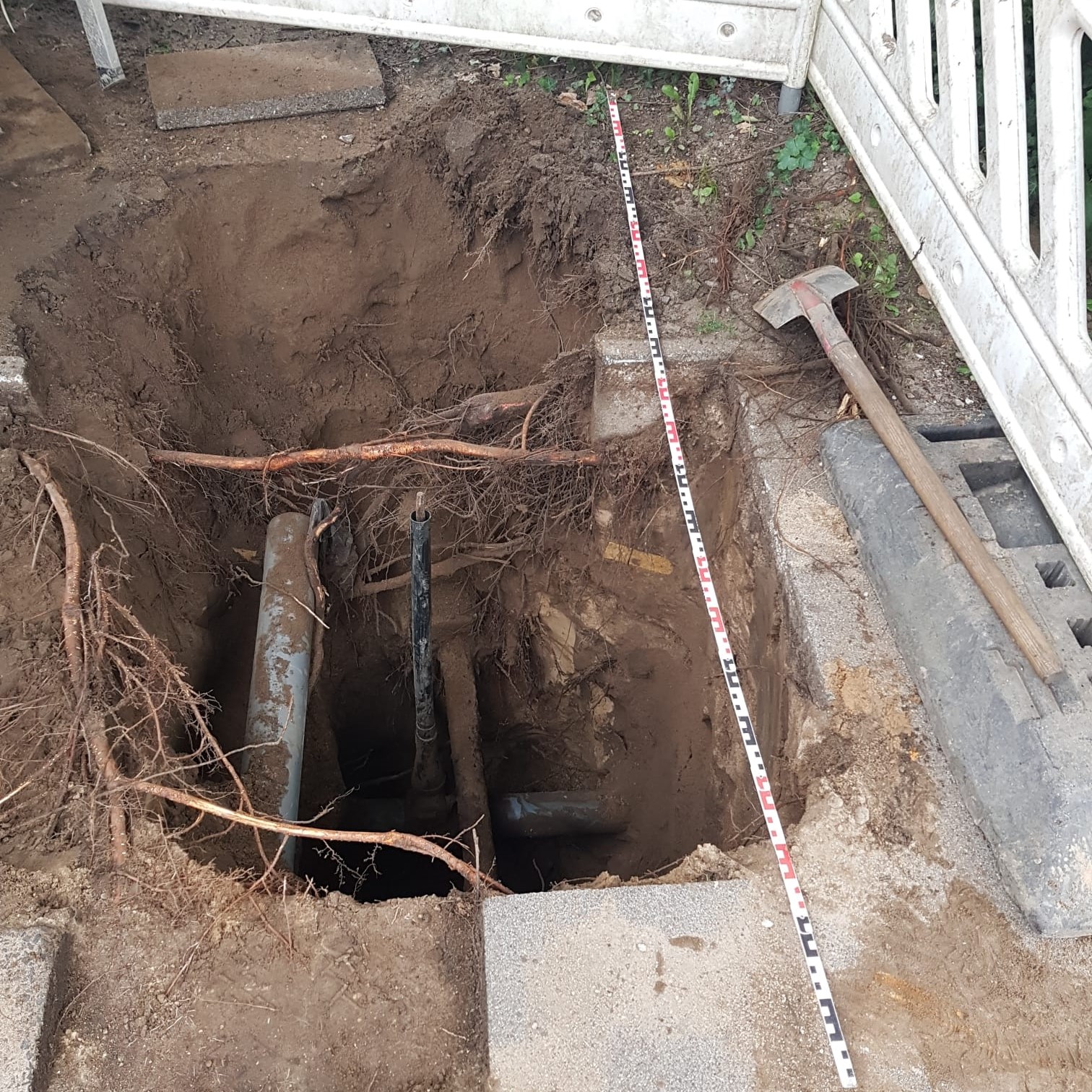 sustainable sourcing practices in furniture store - forest