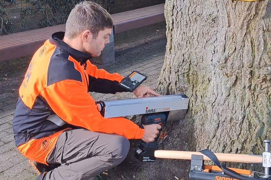 Ein Mann kniet neben einem Baum und benutzt ein tragbares Bosch-Gerät zur Baumuntersuchung.