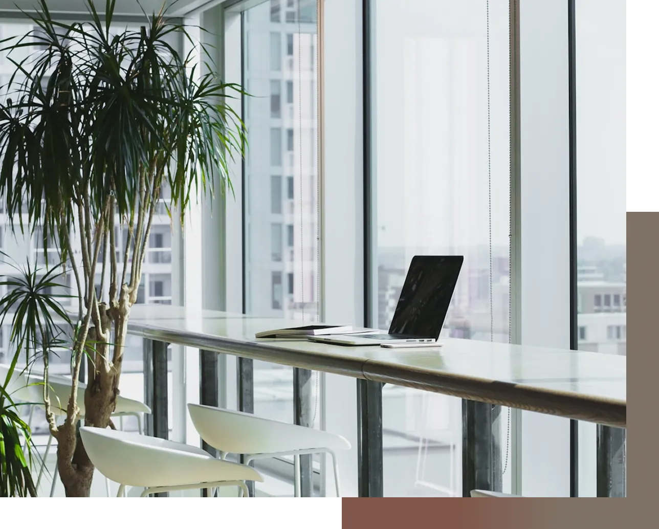 A laptop computer sitting on top of a desk next to a plant.
