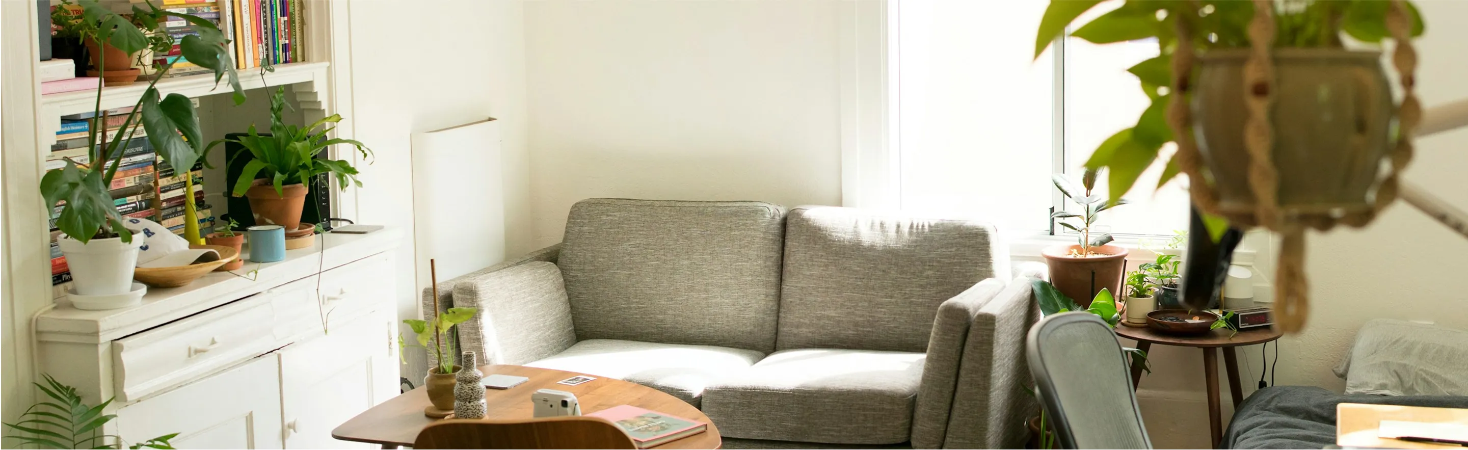 A living room filled with furniture and lots of plants.