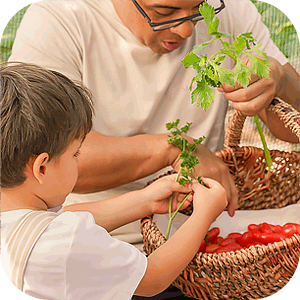 Adult and child examining fresh greens and placing them in wicker baskets filled with red cherry tomatoes.