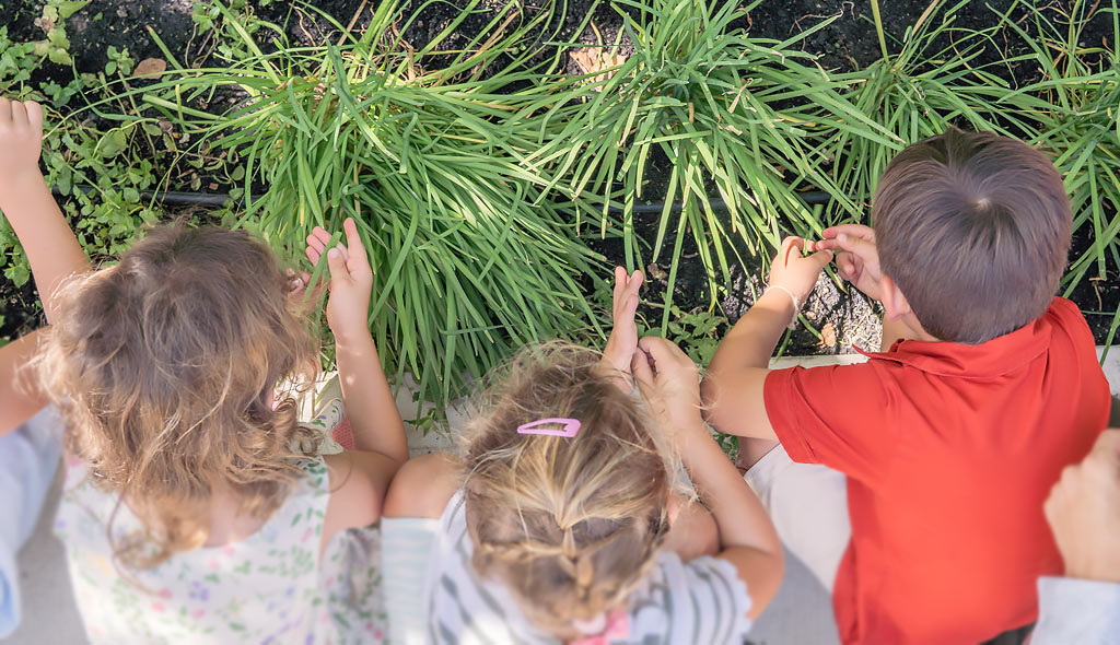 Three children from above sitting on the ground, examining green plants in a garden bed.