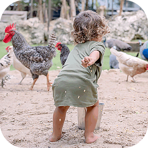 Toddler in green dress standing barefoot on dirt ground surrounded by chickens and a metal bucket.