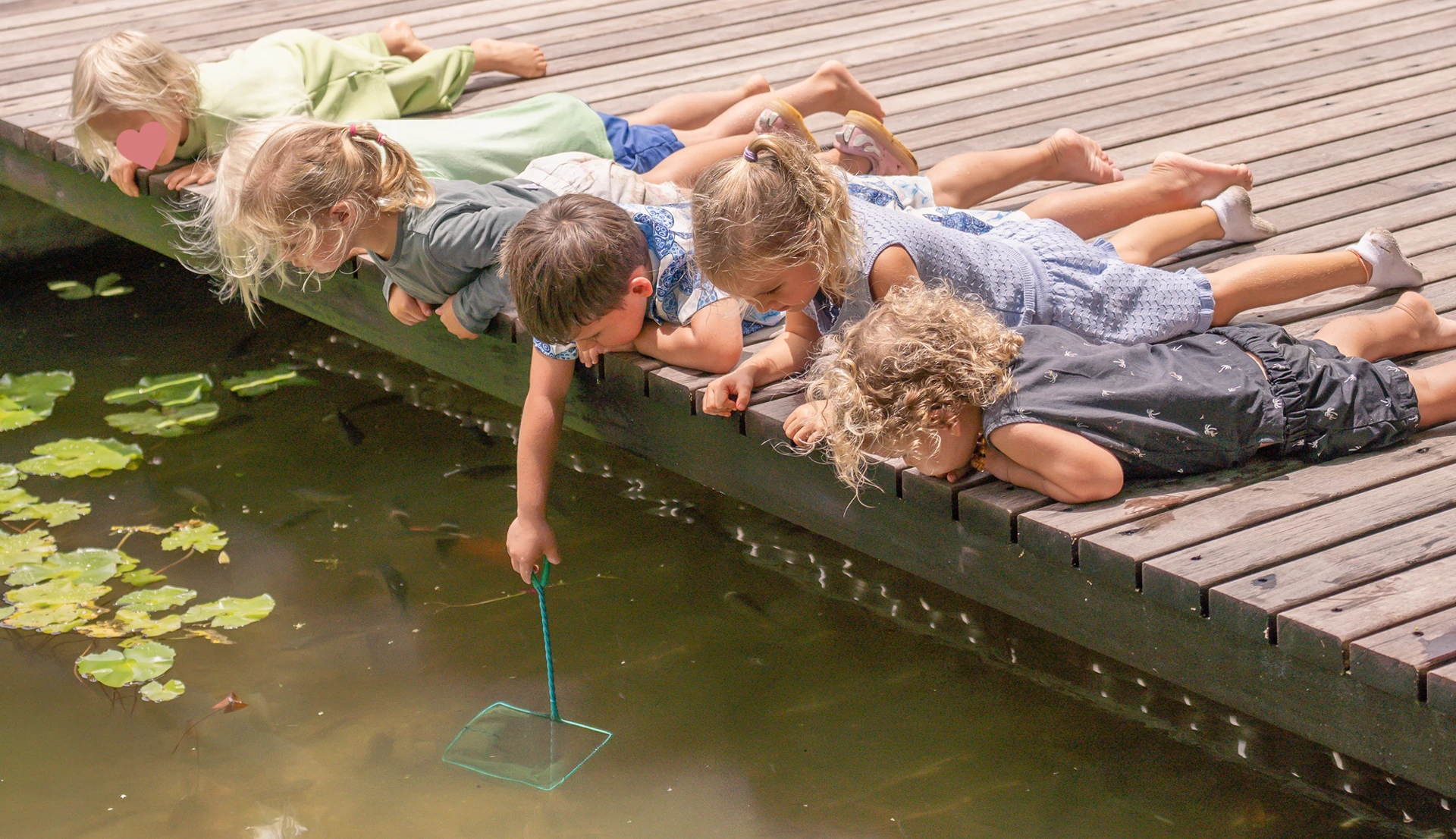 Six children lie on a wooden dock over water, one using a net to catch fish among lily pads.