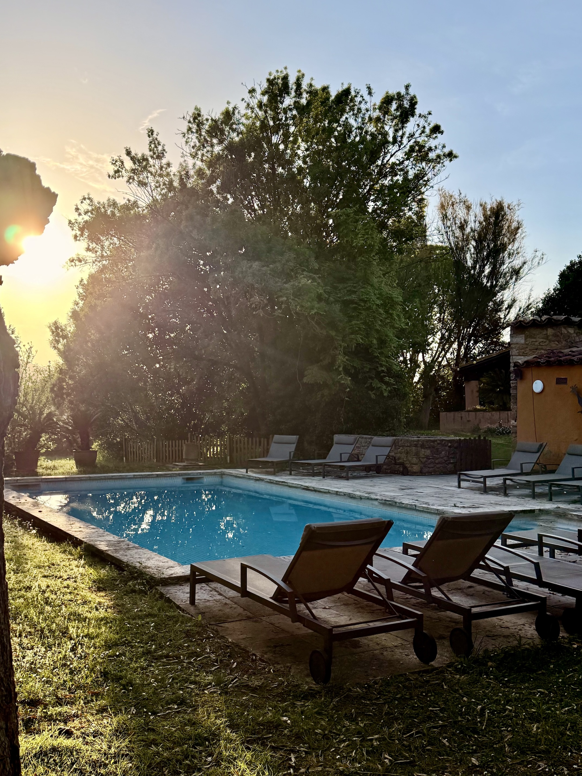 The pool at sunset with sun flaring through the trees