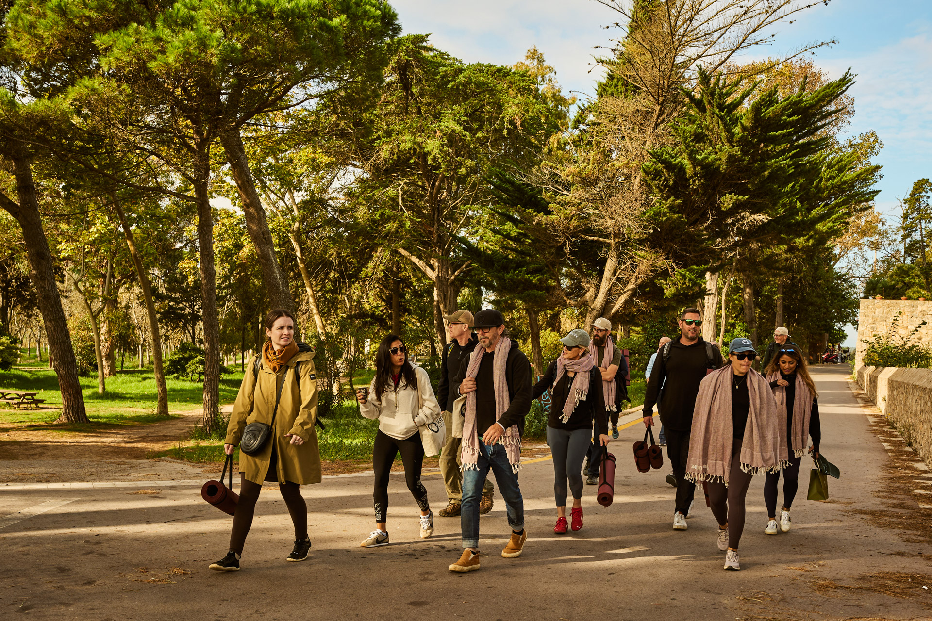 The group walking a pine-lined coastal path