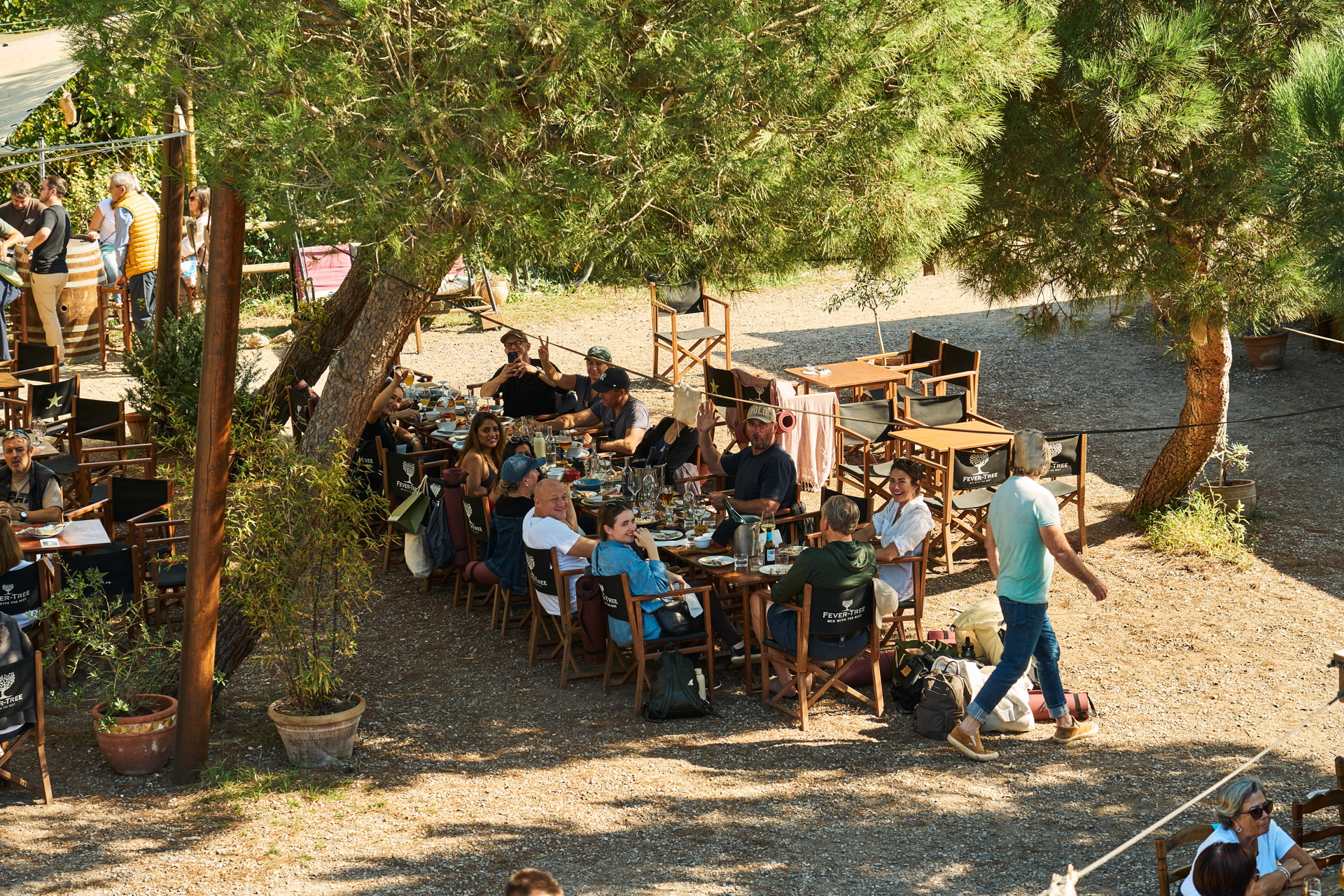 Long table lunch under pine trees near the beach