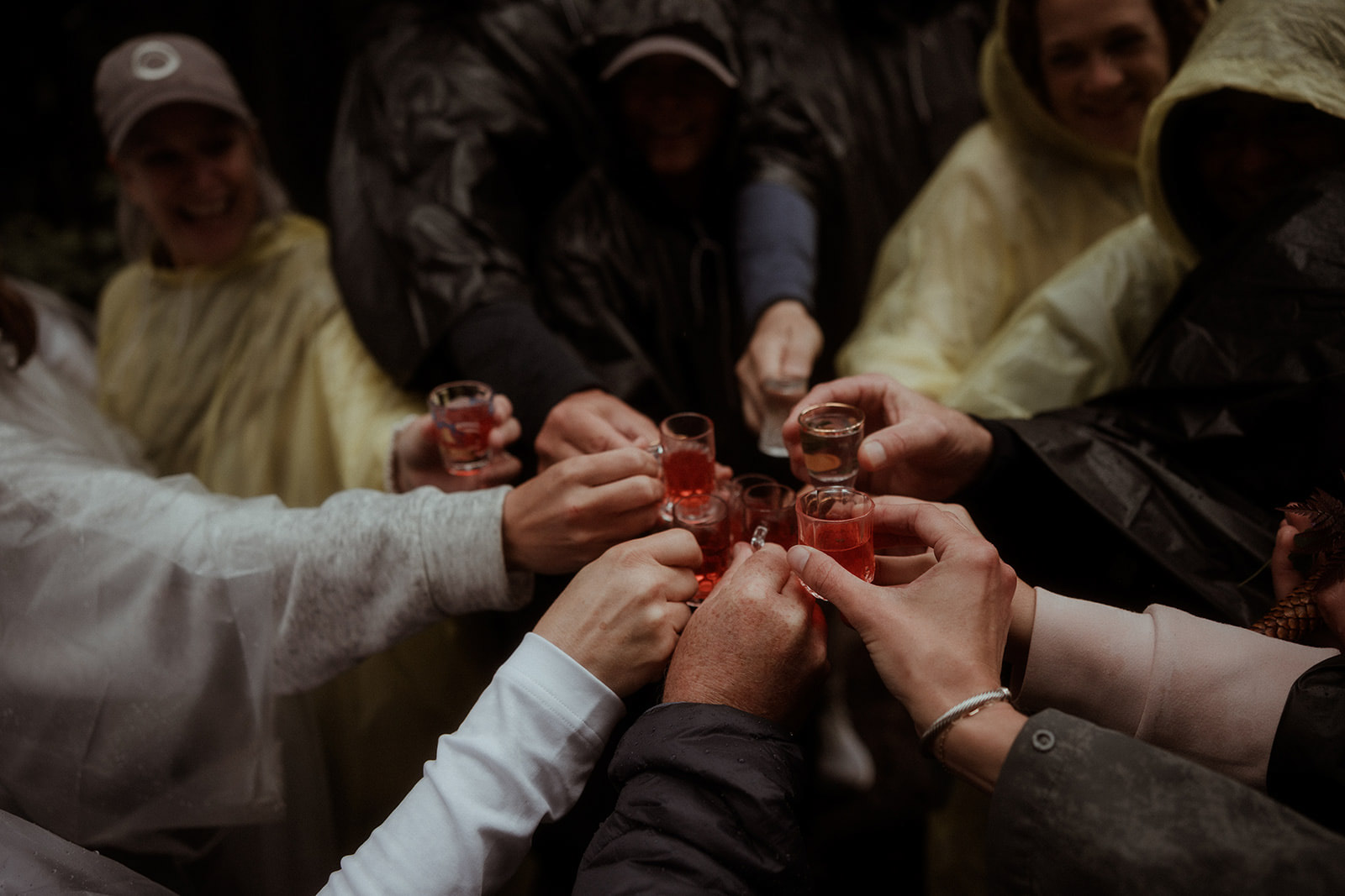 The group raising a toast on a rainy forest walk