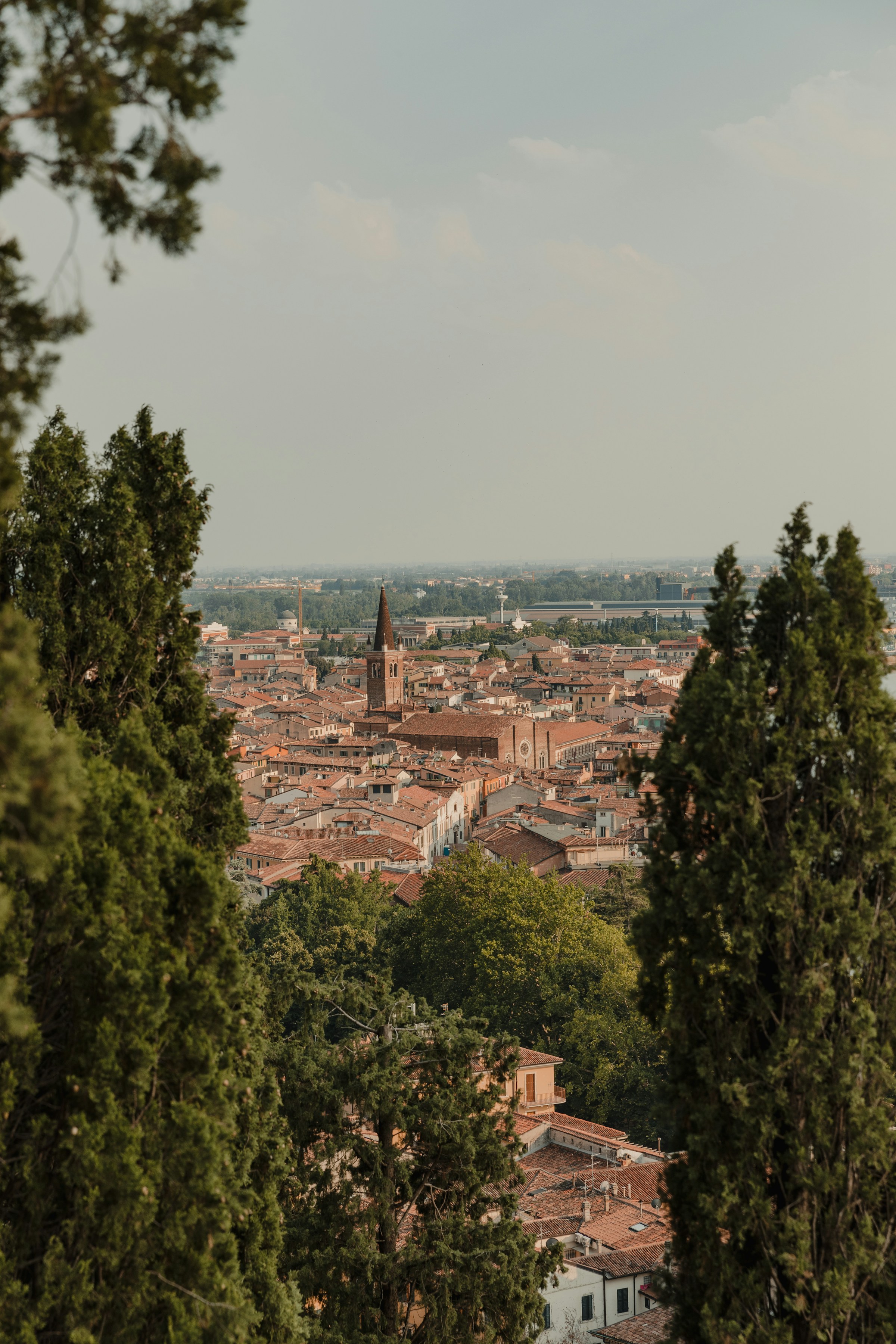Cypress trees framing a view over the rooftops of Girona