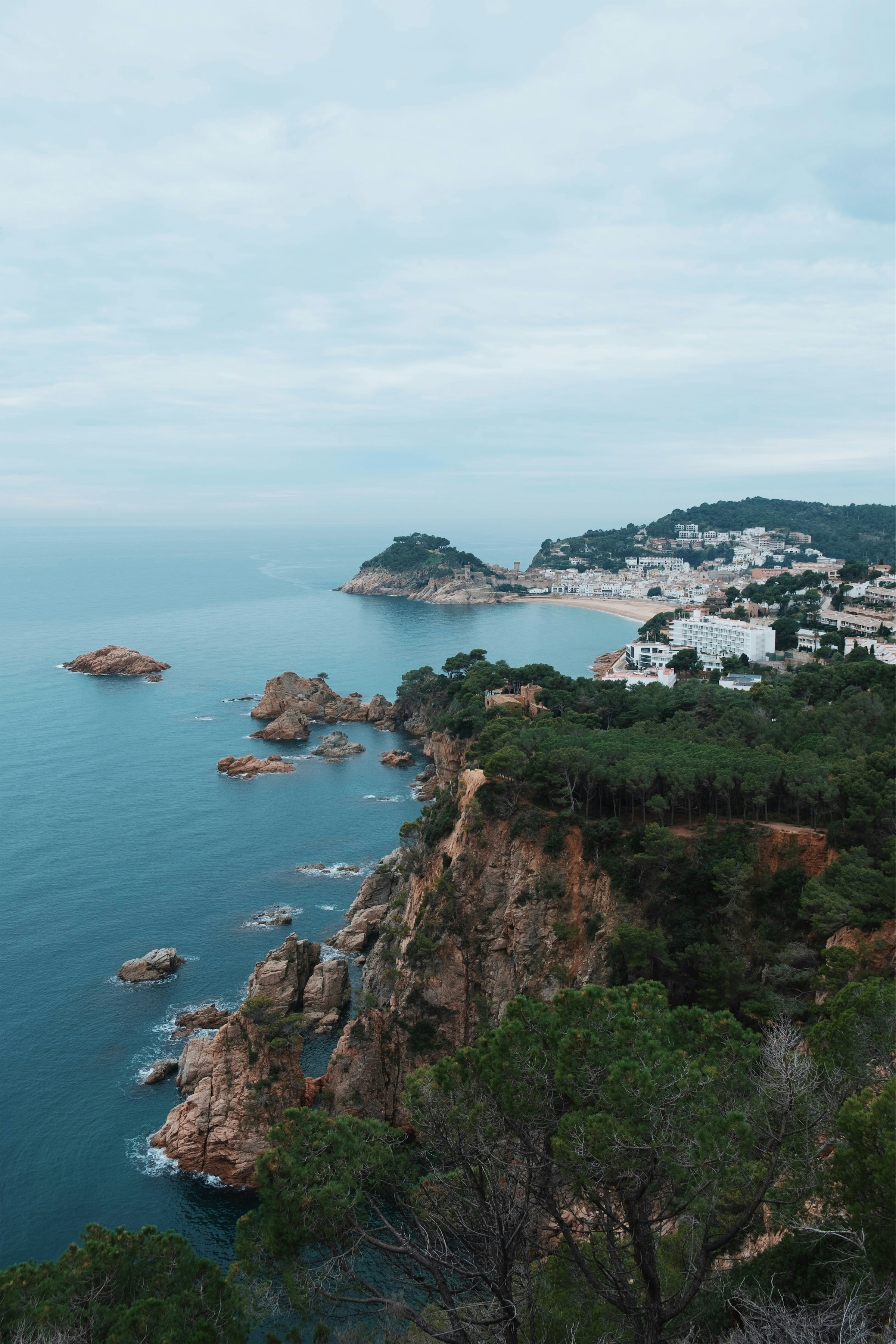 The Costa Brava coastline with pines above a rocky cove