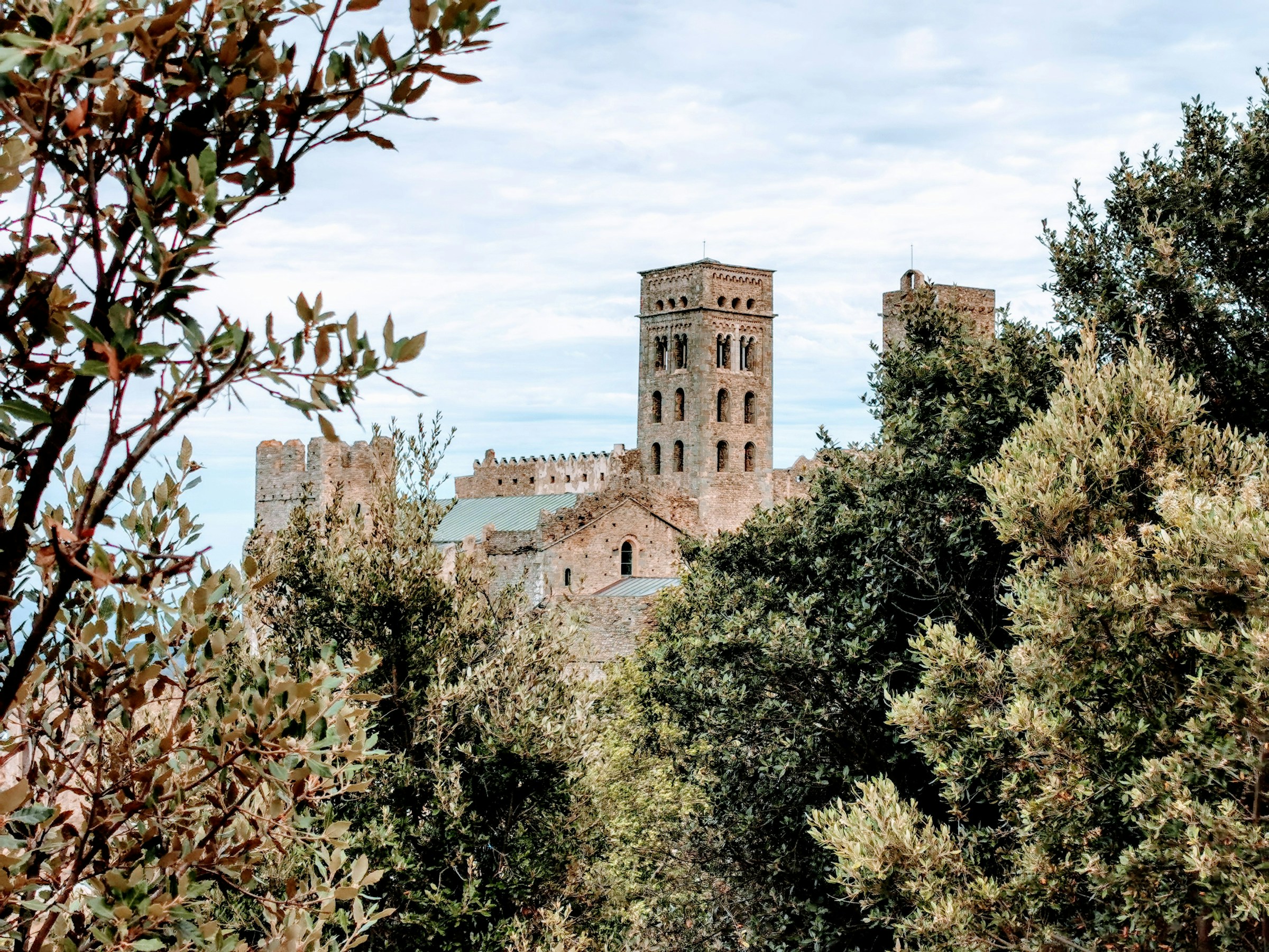 A medieval bell tower rising above olive trees