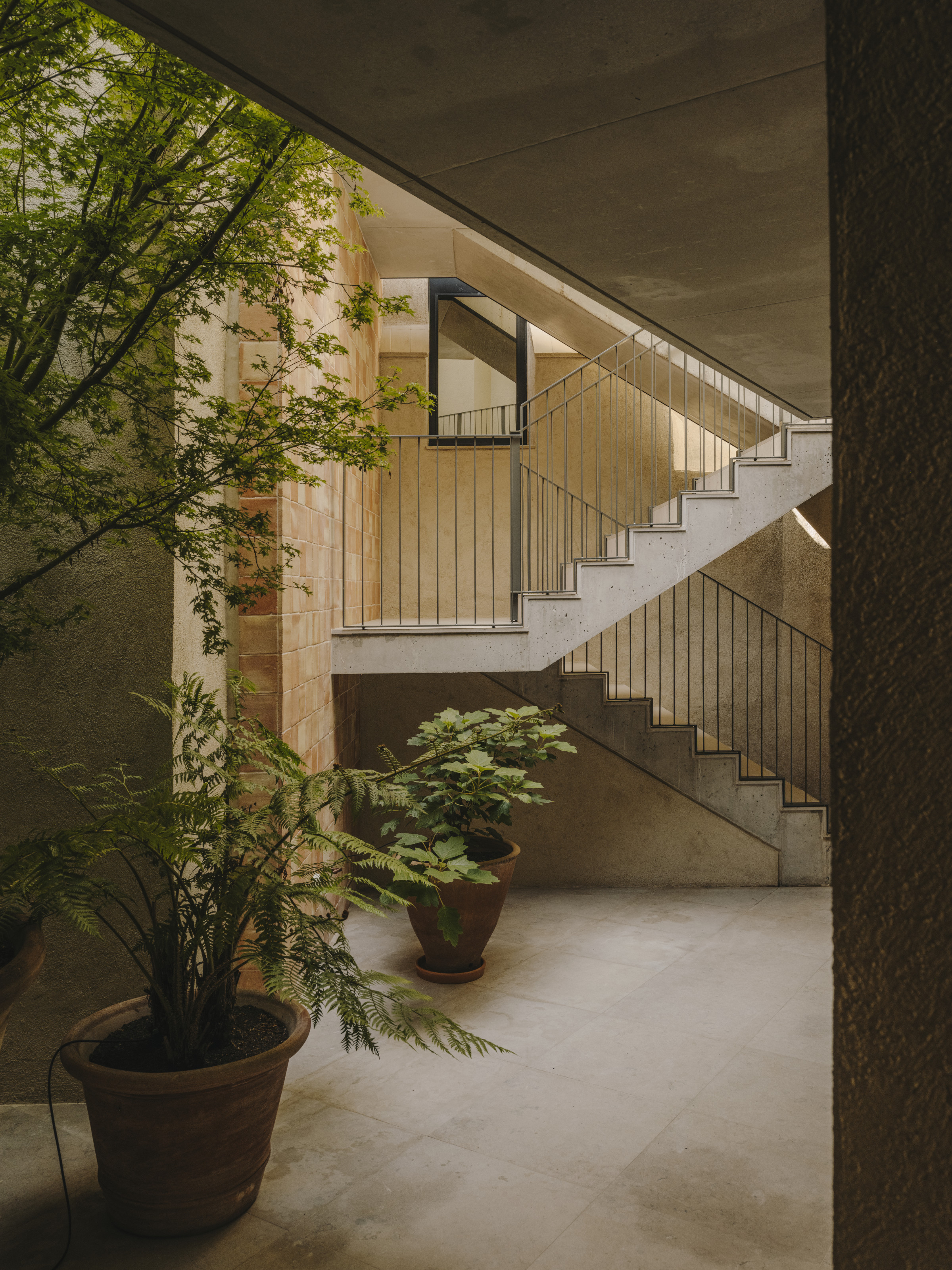 Staircase and plants in the light-filled entrance hall