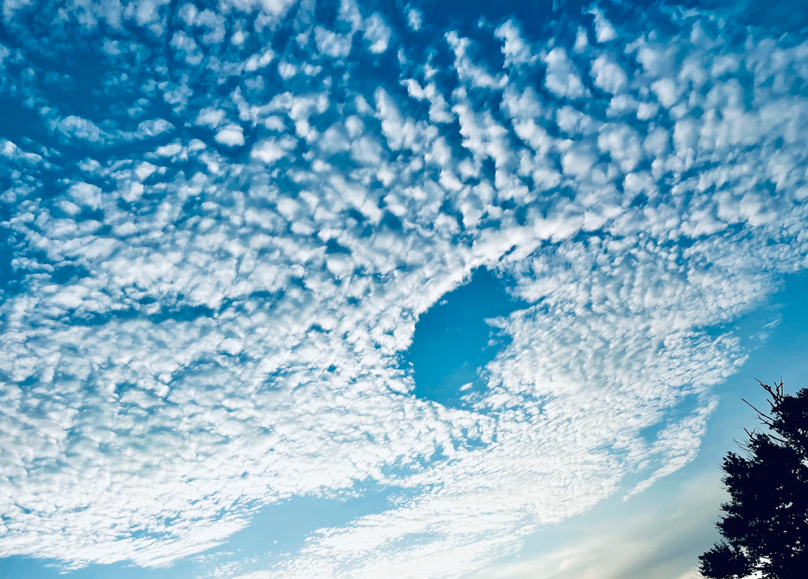 Aerial view of clouds over the coastline