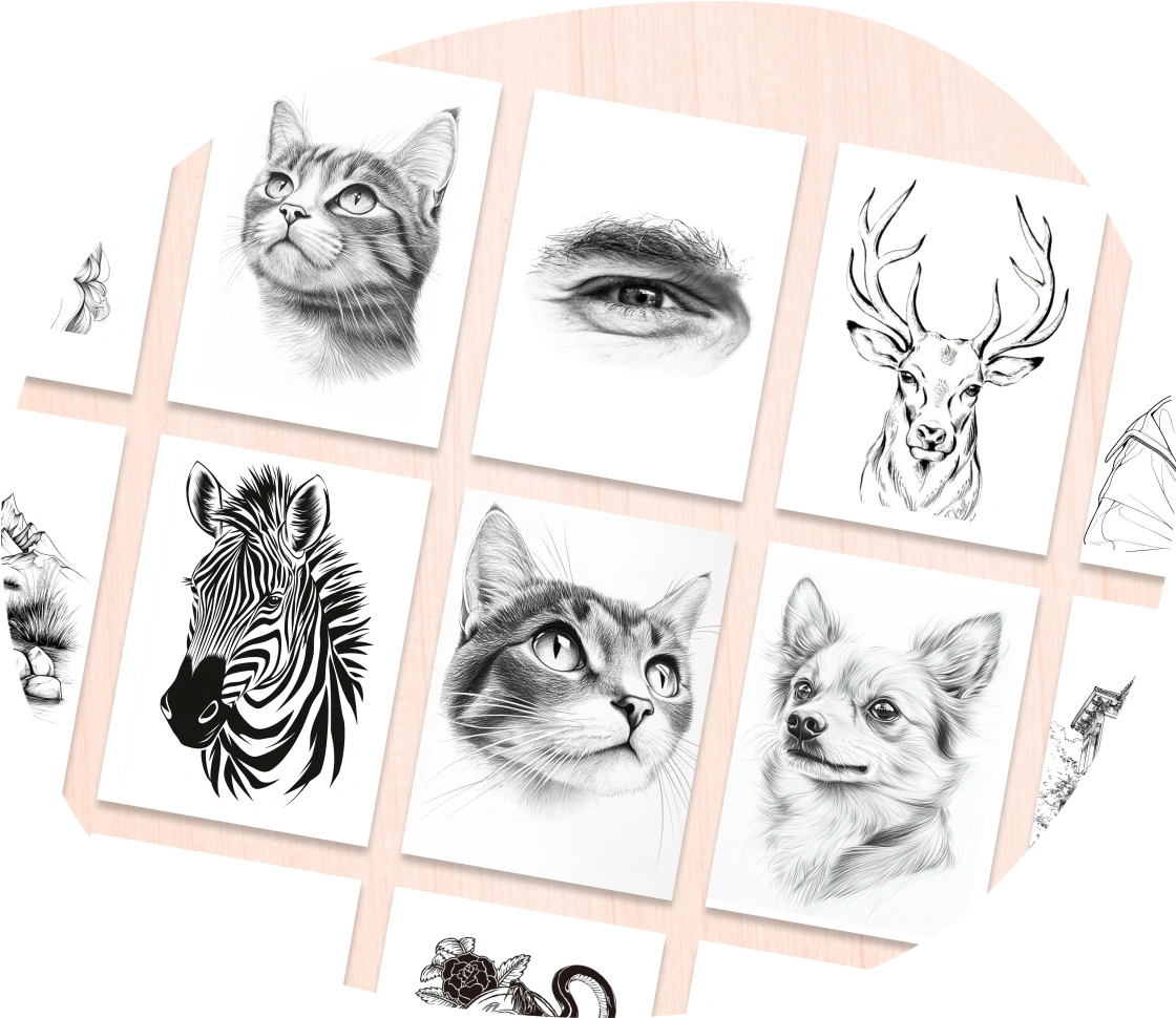 Large catalog