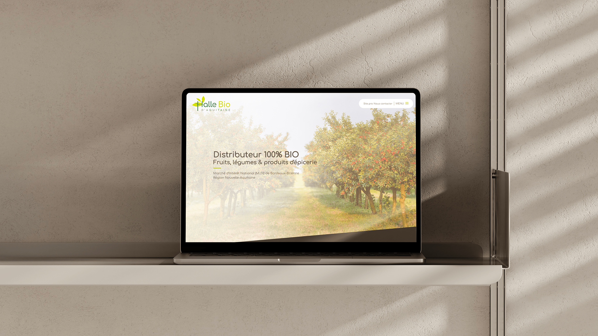Mockup de la homepage avant mon intervention du site de la Halle Bio d'Aquitaine