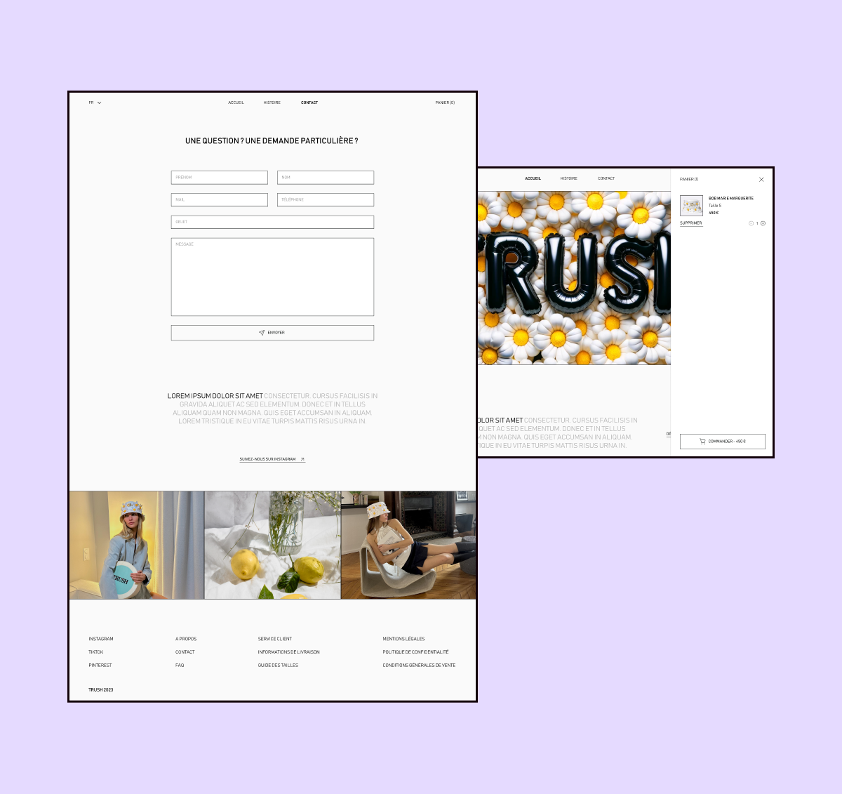 Aperçu de la page contact et du panier du site Trush Paris