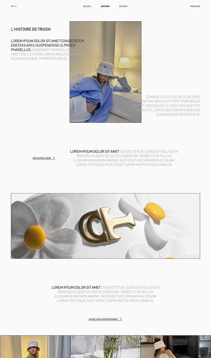 Aperçu de la page histoire de Trush Paris