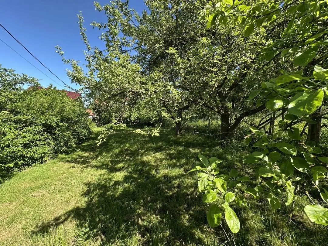 Ansicht