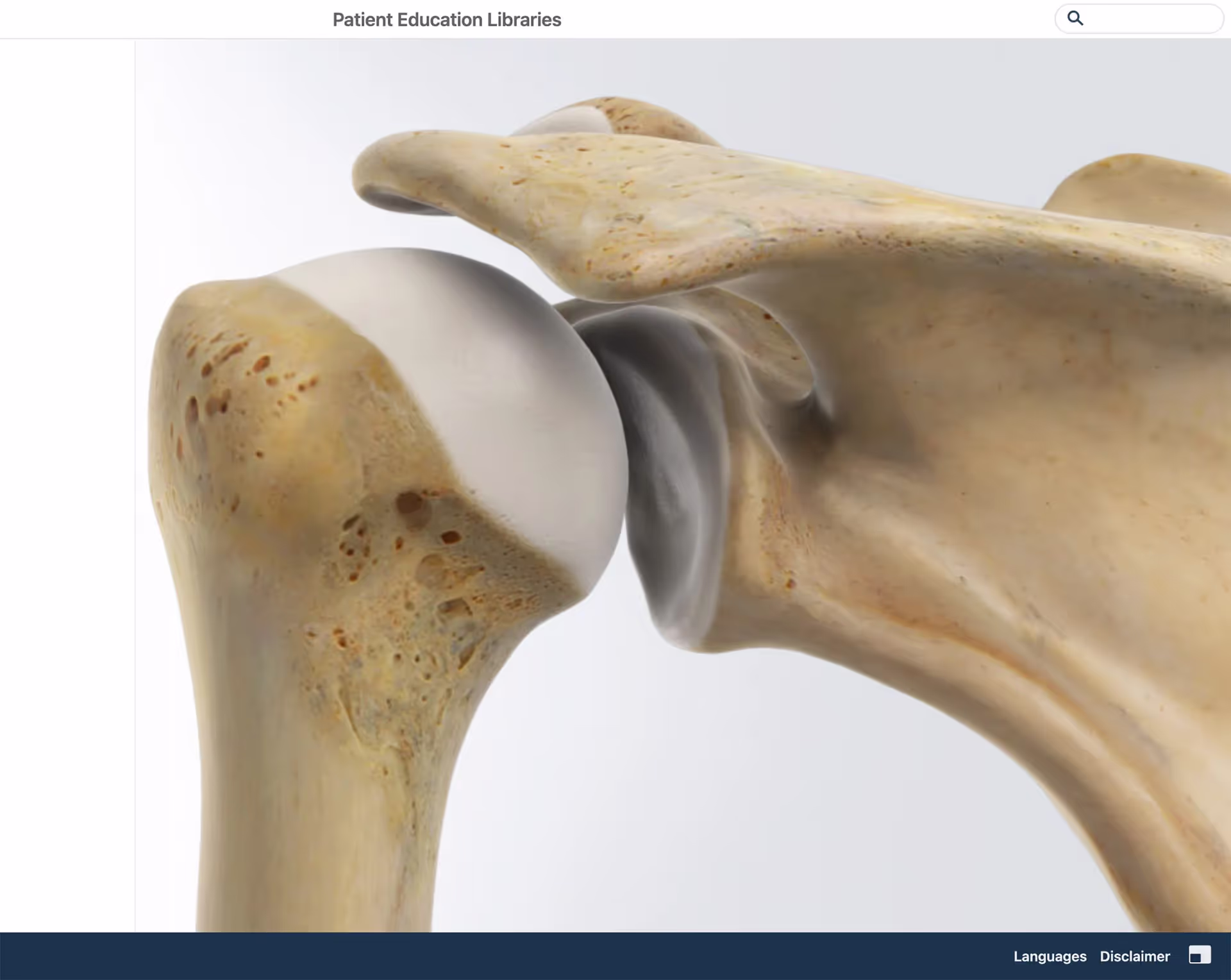 Patient Education platform screenshot